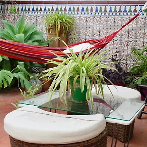 Backpacker Al-katre , Cordoba İspanya